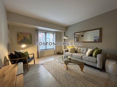 South End Luxury 1 Bed 1 Bath on Harrison Ave. in South End  Boston - $3,365