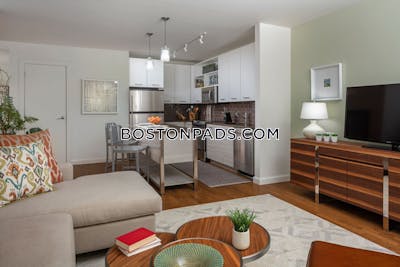 Downtown Apartment for rent 1 Bedroom 1 Bath Boston - $4,163