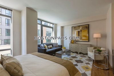 West End 2 bedroom  baths Luxury in BOSTON Boston - $5,895