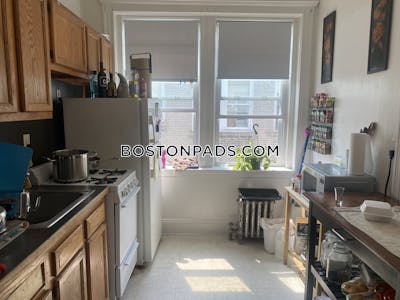 Brighton Apartment for rent 1 Bedroom 1 Bath Boston - $2,595 50% Fee