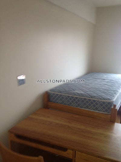 Allston Apartment for rent Studio 1 Bath Boston - $2,150