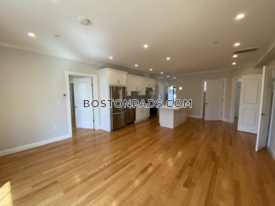 Fort Hill Newley Renovated 3 bed 3 Bath in on Dudley Street in Brighton Boston - $2,250