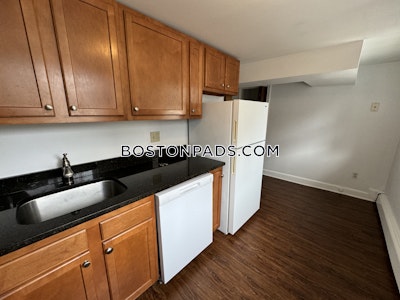 Brighton 2 Beds 1 Bath Boston - $2,950 No Fee