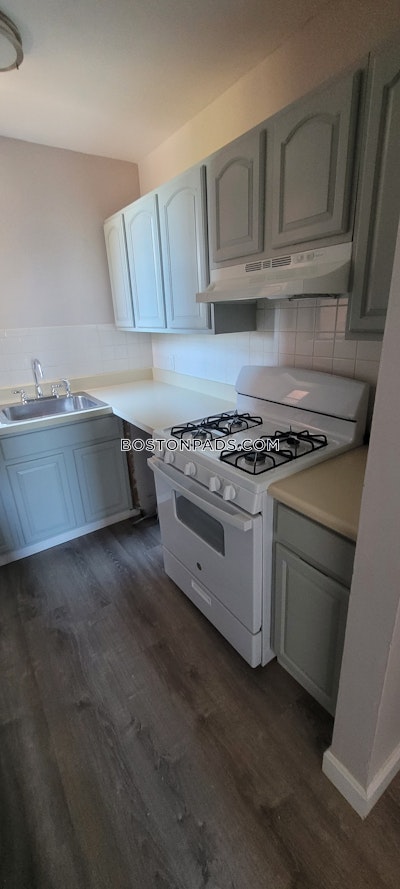 Roxbury 1 Bed 1 Bath Boston - $2,650 50% Fee