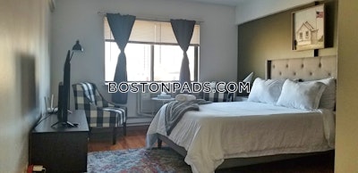 Allston Apartment for rent Studio 1 Bath Boston - $2,150