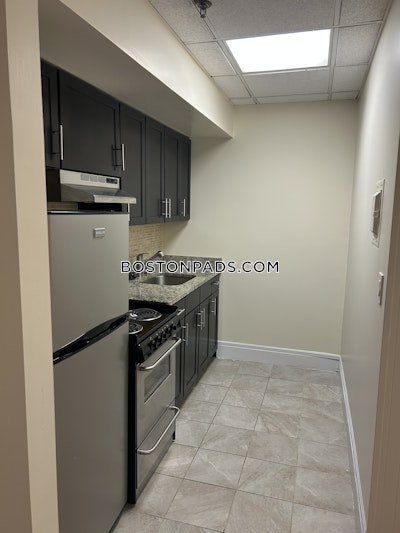 Chinatown Apartment for rent 1 Bedroom 1 Bath Boston - $3,145 No Fee