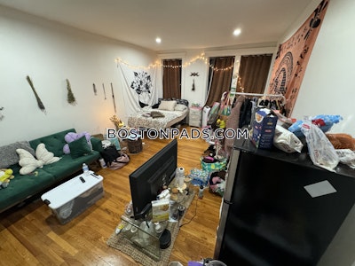 Allston Apartment for rent Studio 1 Bath Boston - $1,800