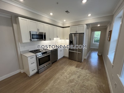 Brighton 2 Beds 1 Bath Boston - $3,175 No Fee