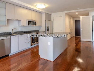 West End Apartment for rent Studio 1 Bath Boston - $2,805