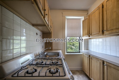 Allston Apartment for rent Studio 1 Bath Boston - $2,075